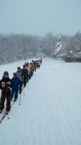 El grupo de expedición por el bosque nevado