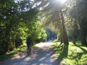 BTT senderismo por Selva Irati desee el Albergue del Pirineo